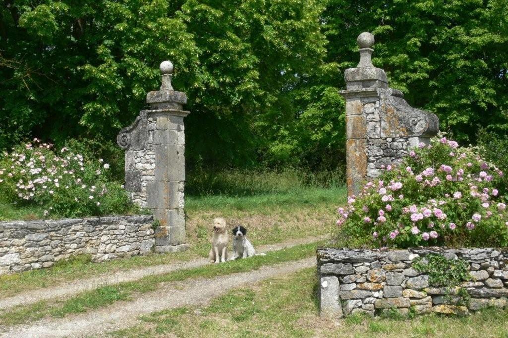 La Maisou-Pastel Et Fleur Serignac  Luaran gambar